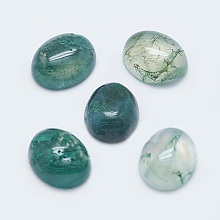 Honeyhandy Natural Moss Agate Cabochons, Oval, 10x8x4mm