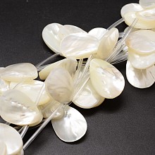 Honeyhandy Natural Trochid Shell/Trochus Shell Beads Strands, Top Drilled Beads, Teardrop, Creamy White, 25x18x3~5mm, Hole: 1mm, about 10pcs/strand, 14.96 inch