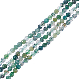 Nbeads 2 Strands Natural Moss Agate Beads Strands, Faceted, Round, 3mm, Hole: 1mm, about 123~130pcs/strand, 15.70''(39.88cm)