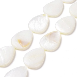 Natural Freshwater Shell Beads Strands, Flat Teardrop, White, 27.5x24x4mm, Hole: 1mm, about 16pcs/strand, 15.55''(39.5cm)