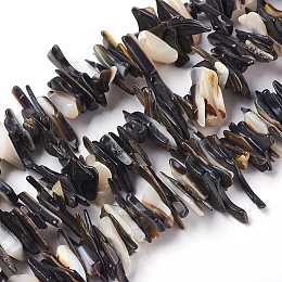 Honeyhandy Freshwater Shell Beads Strands, Chip, Seashell Color, 10~30x7~10mm, Hole: 0.5mm, 15.3~15.5 inch(39~39.5cm)