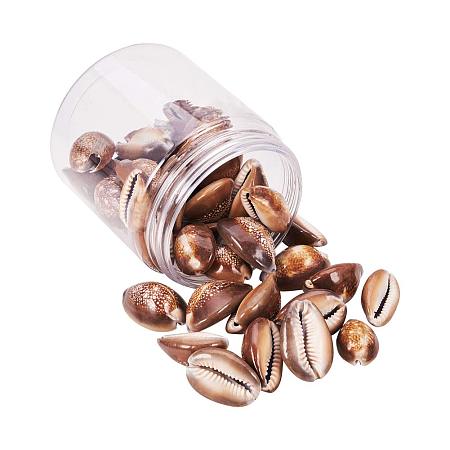 PandaHall Elite 40 pcs Tiny Cowrie Sea Shells Oval Ocean Beach Spiral Seashells Craft Charms Length 25-32mm Candle Making Home Decoration Party Wedding Decor Fish Tank Vase Filler(No Hole)