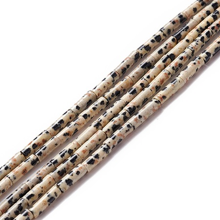 Honeyhandy Natural Dalmatian Jasper Beads Strands, Column, 9~10.5x3mm, Hole: 0.9~1mm, about 40~43pcs/strand, 15.35 inch~15.55 inch(39~39.5cm)