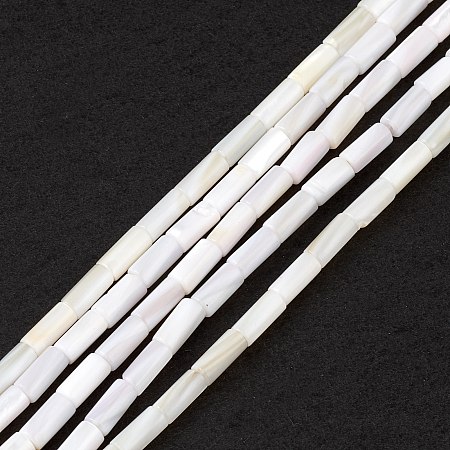 Honeyhandy Natural Freshwater Shell Dyed Beads Strands, Column, Seashell Color, 8x4mm, Hole: 0.8mm, about 46pcs/strand, 14.96''(38cm)