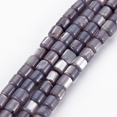 Honeyhandy Natural Trochid Shell/Trochus Shell Bead Strands, Dyed, Column, Dark Slate Blue, 3x3mm, Hole: 0.8mm, about 76~77pcs/strand, 10.04 inch~10.24 inch(25.5~26cm)