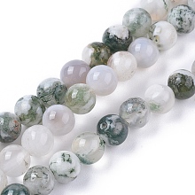 Honeyhandy Natural Tree Agate Beads Strands, Round, 6~6.5mm, Hole: 1.2mm, about 65pcs/strand, 15.55 inch(39.5cm)