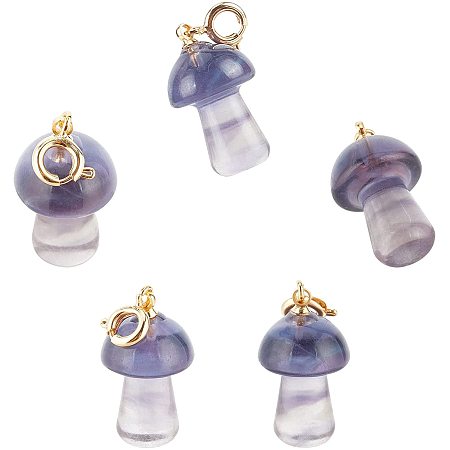 NBEADS 5 Pcs Natural Fluorite Crystal Stone Pendants, Mushroom Shape Stone Charms Gemstone Pendants with Golden Brass Spring Ring Clasps for Necklace Bracelet Jewelry Making