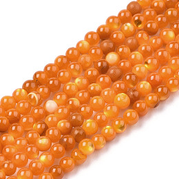 Natural Trochid Shell/Trochus Shell Beads Strands, Dyed, Round, Dark Orange, 2~2.5mm, Hole: 0.7mm, about 184~189pcs/strand, 12.09 inch~15.98 inch(30.7~40.6cm)
