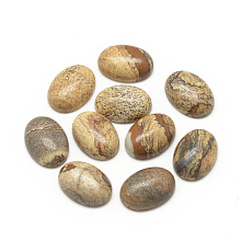 Honeyhandy Natural Picture Jasper Cabochons, Oval, 18x13x5mm