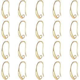 SUPERFINDINGS 40Pcs Brass Earring Hooks Real 18K Gold Plated Lever Back Earwires 19x10x2mm Earrings Making Findings with Loop for DIY Crafting Jewelry Making, Hole: 2mm, Pin: 1mm