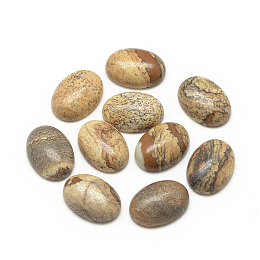 Honeyhandy Natural Picture Jasper Cabochons, Oval, 14x10x4~5mm