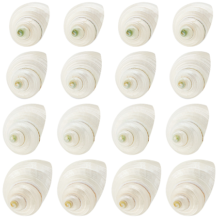 PandaHall Elite 16pcs Natural Spiral Shell Beads, 0.8~1.1 Inch Mouth Turbo Seashells Undrilled Spiral Seashells NO Hole Shells for Home Party Wedding Decor Fish Tank Vase Filler, Antique White
