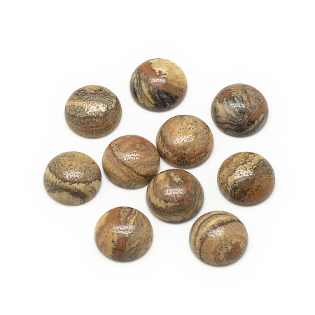 Honeyhandy Natural Picture Jasper Cabochons, Half Round/Dome, 8x4mm