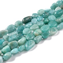 Honeyhandy Natural Amazonite Beads Strands, Nuggets, Tumbled Stone, 5~8.5x5.5~7x3.5~4mm, Hole: 0.7mm, about 64pcs/strand, 16.34 inch(41.5cm)