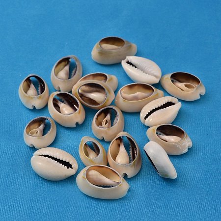 NBEADS 500g/470pcs Spiral Seashell Sea Shell Beads Cowrie Shell Craft for Necklace, Choker, Bracelets, Earrings, Ring, Hair and African Inspired Fashion Jewelry