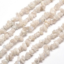 Honeyhandy Natural Moonstone Chip Bead Strands, 5~8x5~8mm, Hole: 1mm, about 31.5 inch