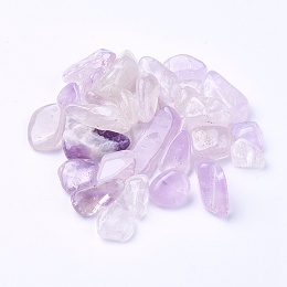 Arricraft Natural Amethyst Beads, Undrilled/No Hole, Chips, 6~29x3~10x2~8mm, about 100g/bag