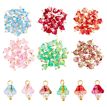 CHGCRAFT 120Pcs 6 Colors Electroplate Glass Charms, with Golden Plated Brass Findings and Glass Pearl Round Beads, Trumpet Flower, Mixed Color, 14x9x9mm, Hole: 2.5mm, 20pcs/color