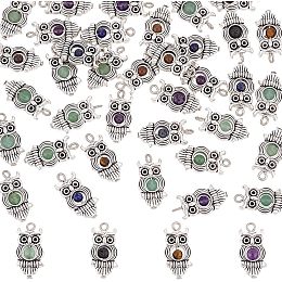 Arricraft 40 Pcs Owl Charms Pendants, Mixed Color Animal Stone Charms Tiny Metal Owl Loose Beads with Antique Silver Tone Alloy Findings for Earrings Necklaces Jewelry Making