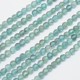 ARRICRAFT Faceted Round Natural Apatite Bead Strands, 4mm, Hole: 1mm, about 100pcs/strand, 15.5 inches