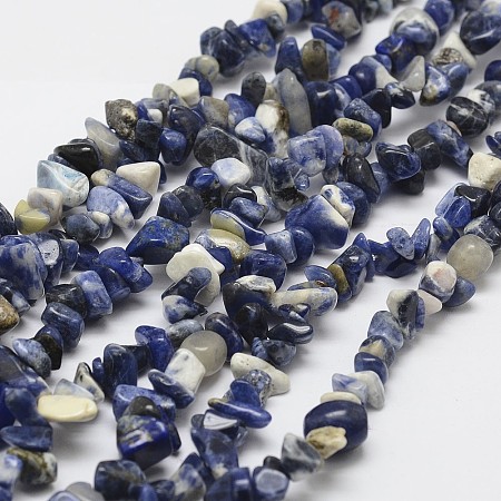 ARRICRAFT Natural Sodalite Beads Strands, chip, Blue, 3~5x7~13x2~4mm, Hole: 0.4mm, 31.5 inches