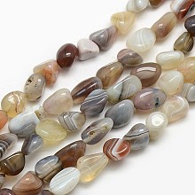 Honeyhandy Natural Botswana Agate Nuggets Beads Strands, 8~12x8~18mm, Hole: 1mm, about 44pcs/strand, 15.5 inch