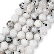 Natural Rainbow Moonstone Beads Strands, Round, 8mm, Hole: 0.8mm, about 47pcs/strand, 15.39''(39.1cm)