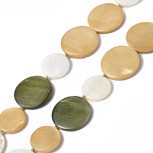 Spray Painted  Natural Freshwater Shell Beads Strands, with Alloy Bead Tips, Flat Round, Mixed Color, 20x3mm & 15~15.5x2.5~3mm, Hole: 1mm, about 24pcs/strand, 18.07 inch(45.9cm)