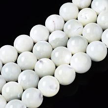 Honeyhandy Natural Trochid Shell/Trochus Shell Beads Strands, Round, Bleach, Seashell Color, 8mm, Hole: 1.2mm, about 50~52pcs/strand, 15.35~15.75 inch(39~40cm)