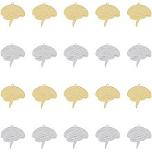 DICOSMETIC 20Pcs 2 Colors Anatomical Brain Charm Human Anatomy Pendant Golden Doctor Nurse Pendant Stainless Steel Dangle Charm for Biology Student Gift DIY Jewelry Making, Hole: 1mm