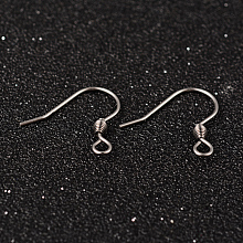 Honeyhandy 304 Stainless Steel Earring Hook Jewelry Findings, with Horizontal Loop, Stainless Steel Color, 19x18mm, Hole: 2mm, Pin: 0.7mm