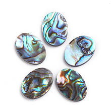 Honeyhandy Natural Abalone Shell/Paua Shell Cabochons, Oval, 18x13x2mm