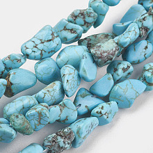 Honeyhandy Natural Howlite Beads Strands, Dyed & Heated, Chip, 6~12x6~18x4~8mm, Hole: 1mm, about 45pcs/strand, 15.75 inch