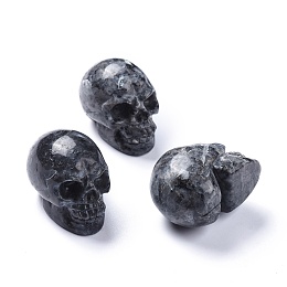 Honeyhandy Halloween Natural Labradorite Home Decorations, Skull, 38~38.5x32~32.5x49~50mm