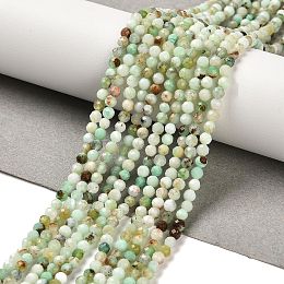 Natural Serpentine Beads Strands, Round, Faceted, 3mm, Hole: 1mm, about 117pcs/strand, 15.55''(39.5cm)