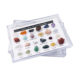 Honeyhandy Natural Gemstones Nuggets Collections, for Earth Science Teaching, Box: 90x60x20mm, Gemstone: 8~14x5~8mm, 24pcs/box