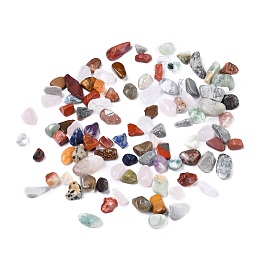 Honeyhandy Natural Gemstone Beads, No Hole/Undrilled, Chip, 8~19x8~10x2~8mm, about 458pcs/500g