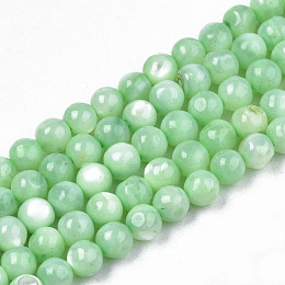 Honeyhandy Natural Freshwater Shell Beads Strands, Dyed, Round, Light Green, 4mm, Hole: 0.8mm, about 97~99pcs/strand, 14.88 inch~15.16 inch(37.8~38.5cm)