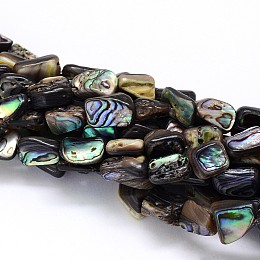 Honeyhandy Natural Paua Shell Beads Strands, Nuggets, Colorful, 10~16x6~9x4~6mm, Hole: 1mm, about 15.7 inch