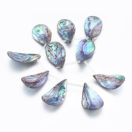 Honeyhandy Natural Abalone Shell/Paua Shell Beads Strands, Top Drilled Beads, Teardrop, 35~39x19~23x3~6mm, Hole: 0.5mm, about 10pcs/strand, 8.46 inch(21.5cm)