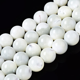 Honeyhandy Natural Trochid Shell/Trochus Shell Beads Strands, Round, Bleach, Seashell Color, 8mm, Hole: 1.2mm, about 50~52pcs/strand, 15.35~15.75 inch(39~40cm)