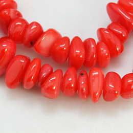 Honeyhandy Natural Shell Beads Strands, Dyed, Chips, Red, 5~12x5~8x1~6mm, Hole: 1mm