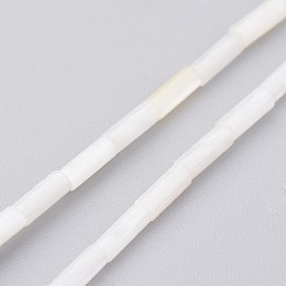 Honeyhandy Natural Shell Bead Strands, Dyed, Column, Floral White, 6x2mm, Hole: 0.5mm, about 67pcs/strand, 15.2 inch