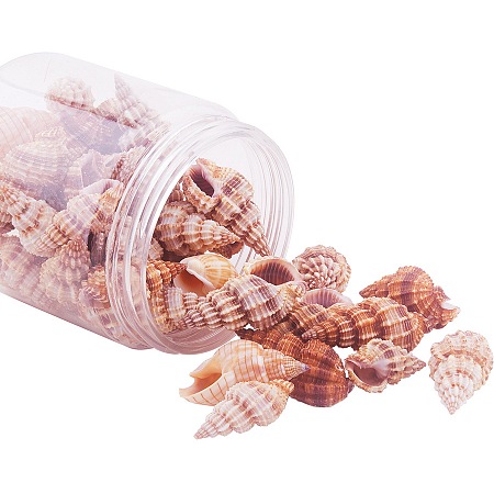 PandaHall Elite Length 14-40mm Spiral Seashells Charms Dyed Beads with Holes for Craft Making, about 50pcs/box