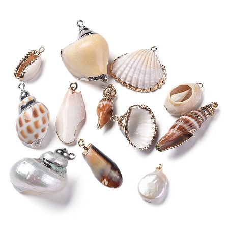Natural Shell Pendants, Edge Plated, Mixed Shapes, Mixed Color, 21.5~42x8.5~30x6~19mm, Hole: 1.4~5mm