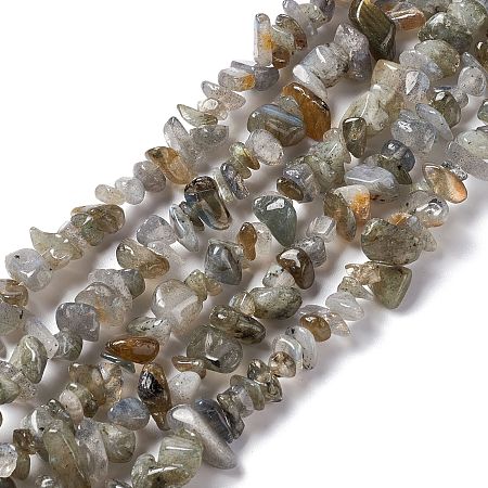 Honeyhandy Natural Labradorite Chip Beads Strands, 5~19.5x3~8.5x1.5~7.5mm, Hole: 1mm, about 221~293pcs/strand, 31.10~32.68 inch(79~83cm)