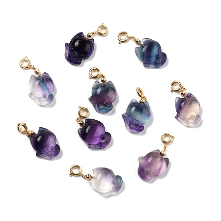 Honeyhandy Natural Fluorite Carved Pendants, with Golden Plated Brass Findings, Fox, 21~22x15x6mm, Hole: 3.7mm