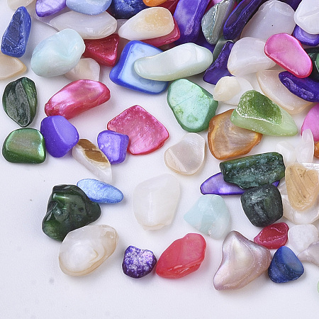 ARRICRAFT Natural Freshwater Shell Beads, No Hole/Undrilled, Chips, Dyed, Shell Shards, Mixed Color, 3~12x1~6x0.5~5mm