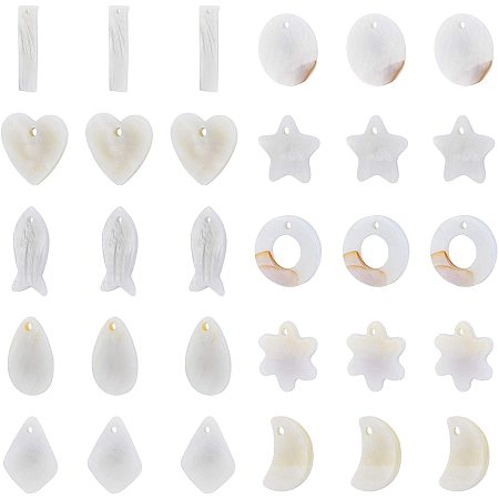 NBEADS 100 Pcs Freshwater Shell Pendants, 10 Styles Mixed Shpaes Natural Freshwater Shell Charms Beads for Jewelry Making