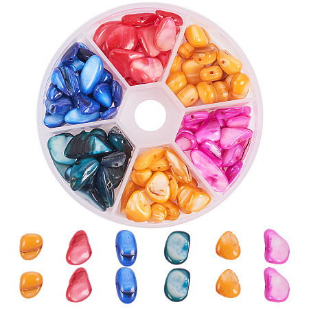 PandaHall Elite About 90~120pcs 6-Color Chip Gemstone Crushed Chunk Pieces Irregular Shaped Shell Chip Gemstone Beads for Jewelry Making
